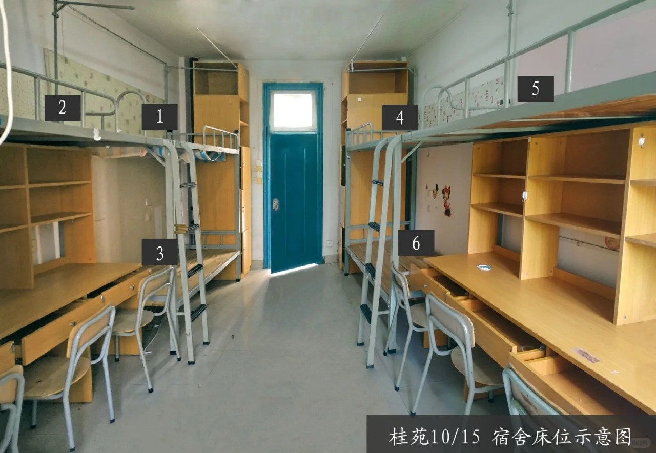 桂苑宿舍图片